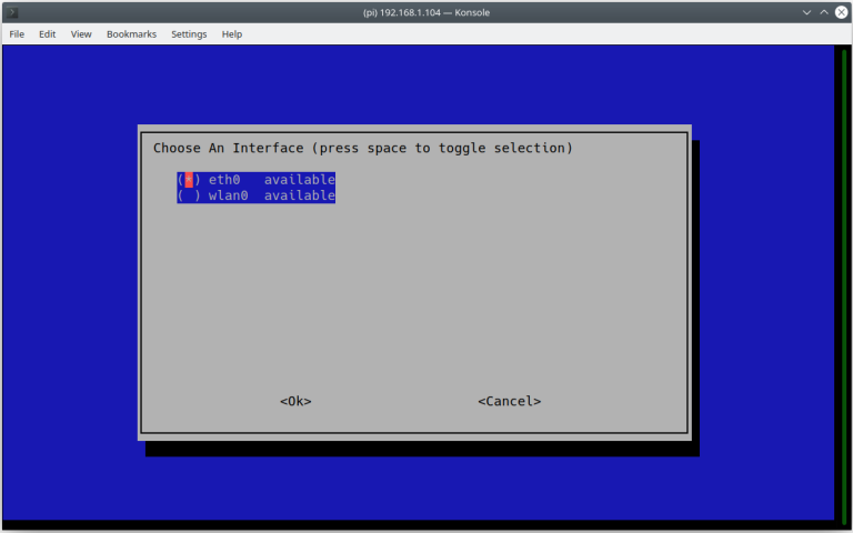 pi-hole installation network internet selection