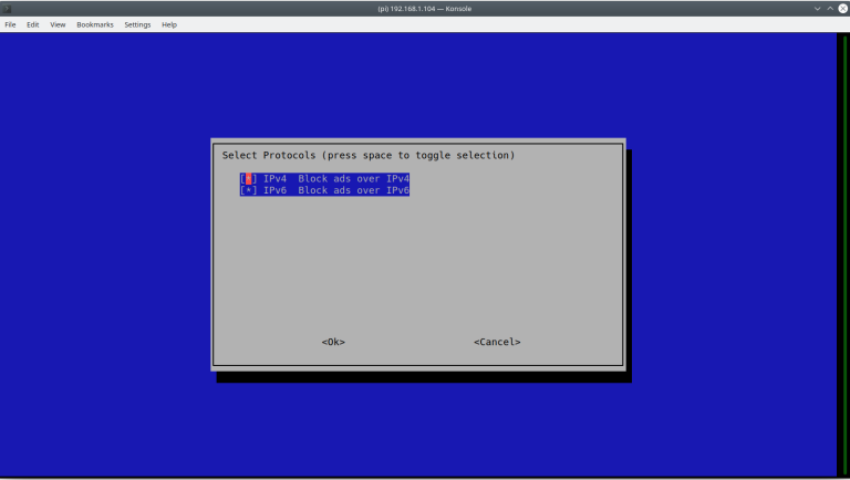 pi-hole installation select ip protocols